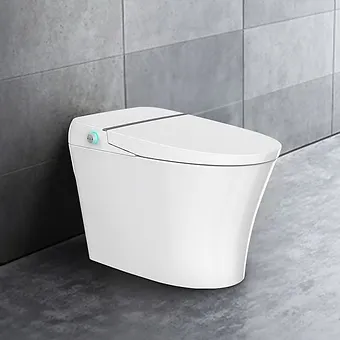 Toilet pot