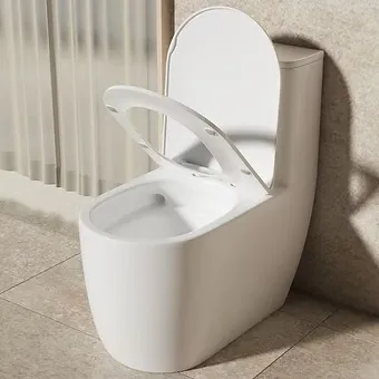 Ceramic toilet pot